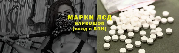 ECSTASY Покачи