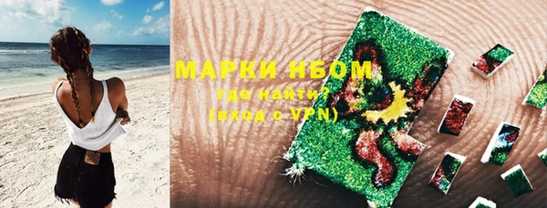 ECSTASY Покачи