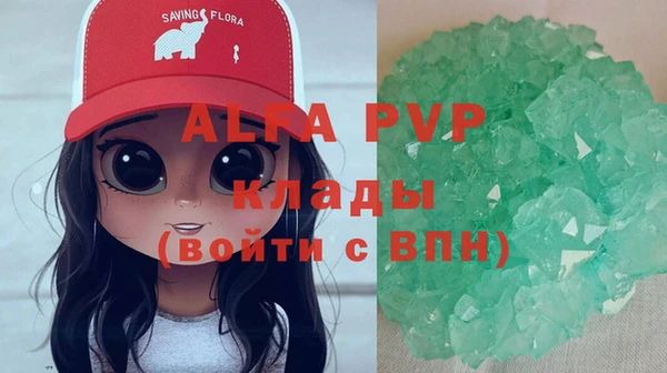 ECSTASY Покачи