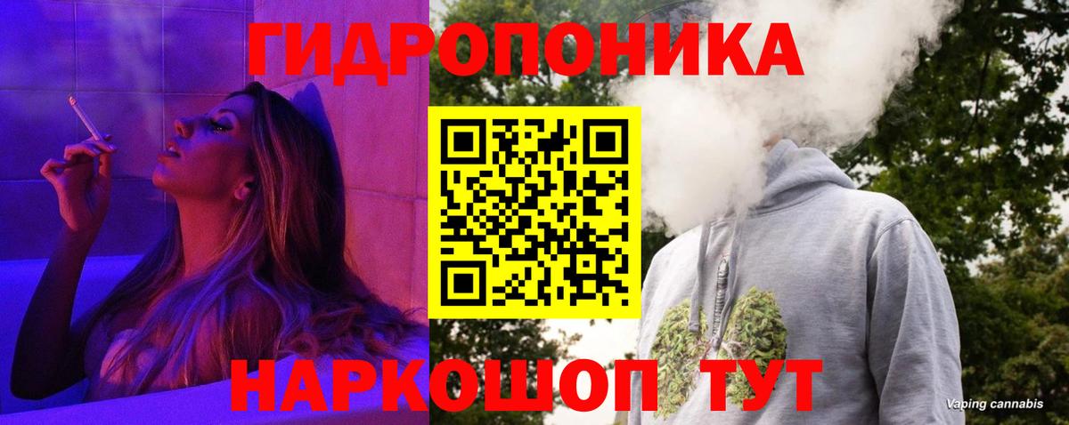 Бошки Шишки ГИДРОПОН  Конопля Ganja  Канабис THC 21%  Вход с VPN  Соль-Илецк 